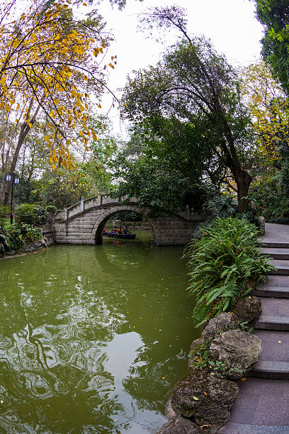 народный парк в чэнду, китай - peoples park стоковые фото и изображения