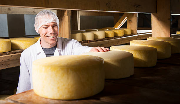 istock Cheese production at factory 595344734