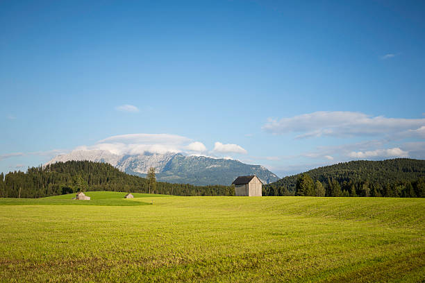 istock Alpine mountain landscape with the green meadow 595345040