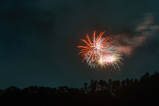 Skyrocket Of The Night Sky Stock Photo Download Image Now Annual