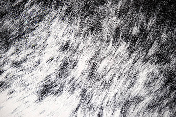 Close up white and black Faux mat for texture background