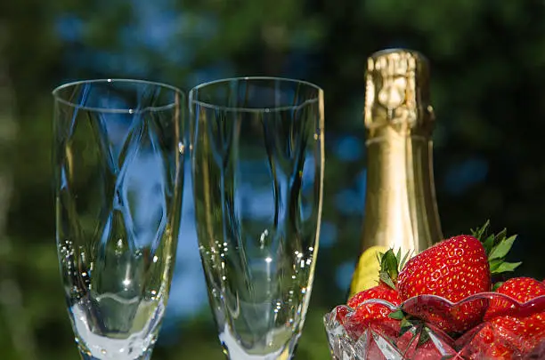 Top of champagne bottle, two glasses and a bowl of strawberries oudoors in a garden