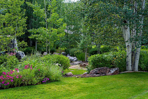 istock Nature Area with Green Trees and Gardens 595350726