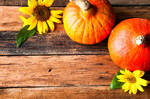 istock Two pumpkins and sunflower on wooden table. Copyspace 595351042