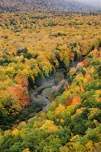 istock Fall Colors in Michigan's Porcupine Mountains 595351582