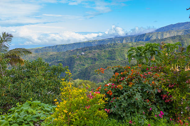 istock Reunion Island landscape 595352438