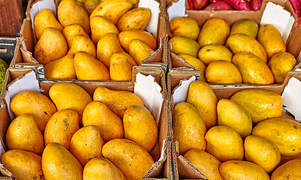 istock Tropical island fresh cold mango farmers market 595354296