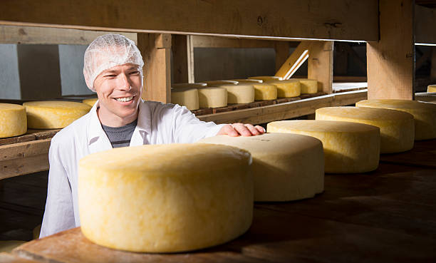 istock Cheese production at factory 595355852