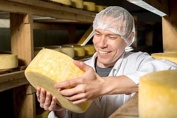 istock Cheese production at factory 595356062