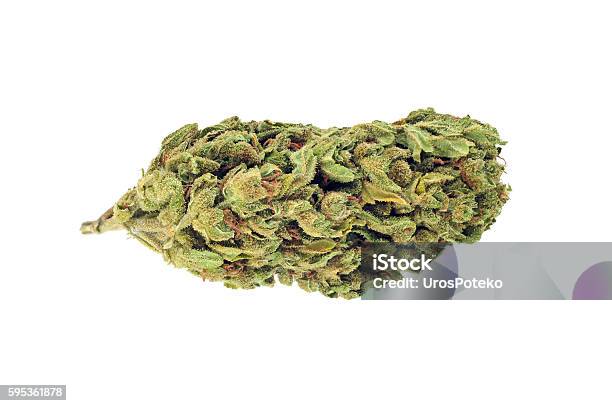 Bocciolo Di Cannabis Isolato Su Bianco - Fotografie stock e altre immagini di Pianta di cannabis - Pianta di cannabis, Marijuana - Cannabis, Germoglio