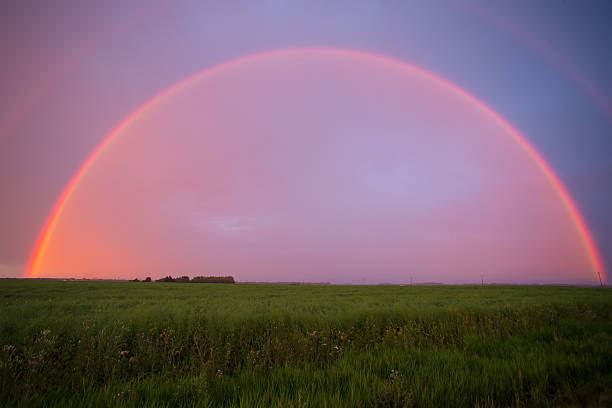istock Full rainbow over a green field at twilight 595362342