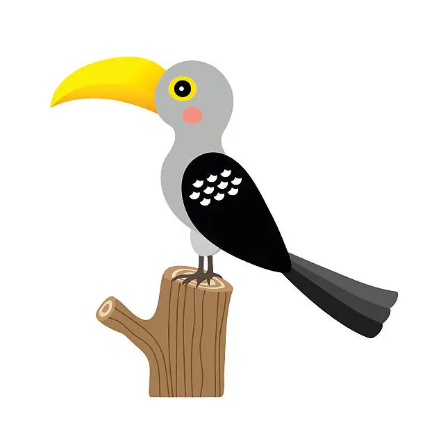 Vector illustration of Yellow Billed Hornbill bird animal cartoon character vector illustration.