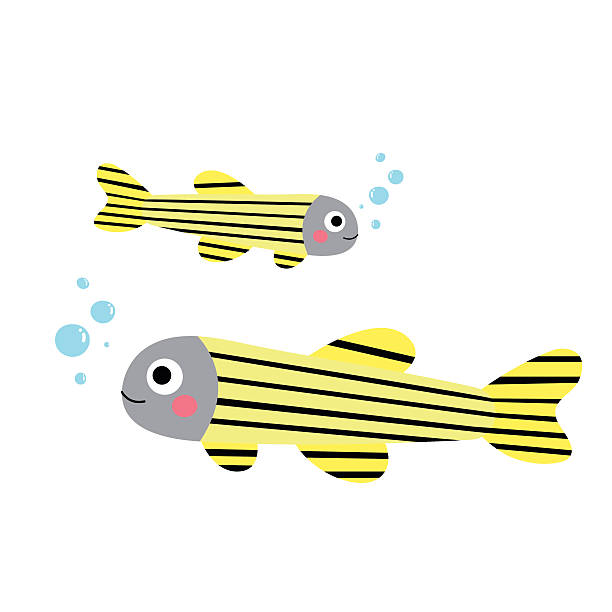 243 Zebrafish Illustrations & Clip Art - iStock | Mouse, Zebrafish embryo,  School of fish
