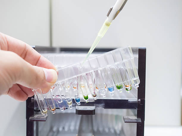 istock Lab with a pipette in a cuvette segments medical lab 595362622