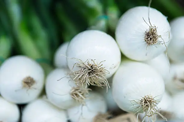 White Onions at fresh-food market. Shallow DOF