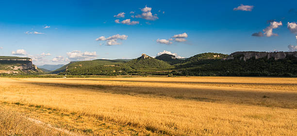 istock Landscape with highland valley  yellow grass. 595367534