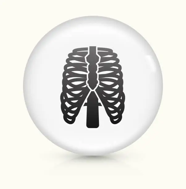 Vector illustration of Human Ribs icon on white round vector button
