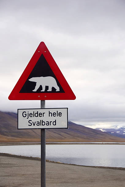 istock Beware of Polar Sign Longyearbyen, Norway 595726320