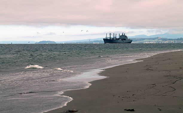 Thevenard, Australia: Sept 5, 2020: Empty bulk carrier Pacific Basin sits off the Port of Thevenard waiting to load gypsum for the construction industry as a shore wave builds in the foreground. Focus on the ship in the background.