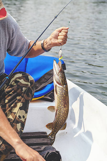 istock pike caught on lure hanging over white boat 595727778