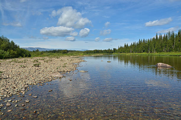 istock River landscape in the national Park Yugyd VA. 595728558