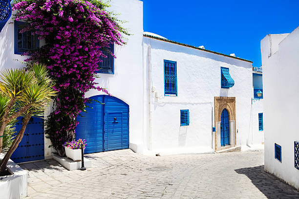 istock Sidi Bou Said. La Gulett, Tunisia 595729786