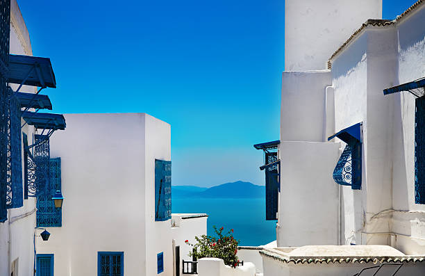 in Sidi Bou Saidin the blue and white town of Sidi Bou Said / Tunis