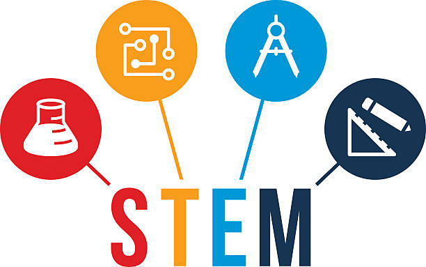 STEM Education Icons An illustration symbolizing STEM education. The areas of study include science, technology, engineering and mathematics. plant stem stock illustrations