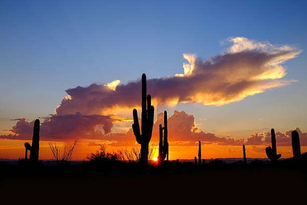 istock Desert Sunset-Tonto National Forest. 595730722