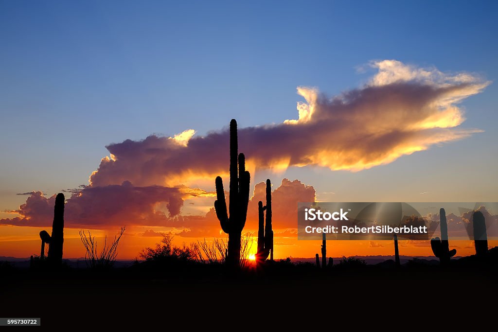 Desert Sunset-Tonto National Forest. Desert Sunset-Tonto National Forest. McDowell Sonoran Preserve, Scottsdale Az. RZXT3533 Arizona Stock Photo