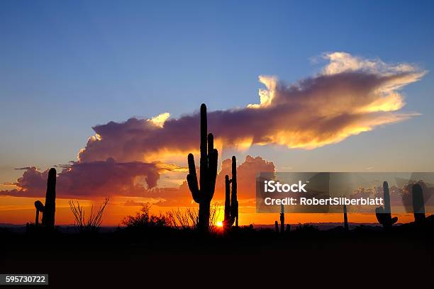 Desert Sunsettonto National Forest Stock Photo - Download Image Now - Arizona, Sunset, Scottsdale - Arizona