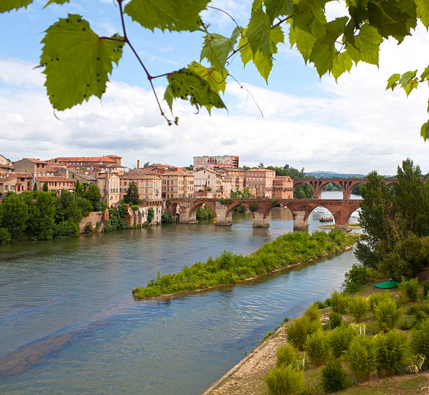 istock Old bridge and Turn river with ivy over it 595732144