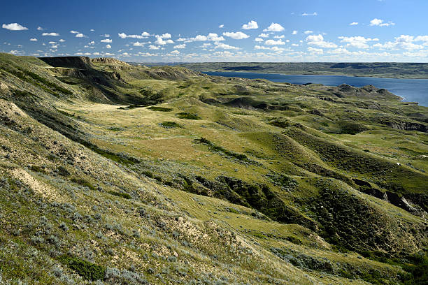 istock Lake Diefenbaker Valley 595733386