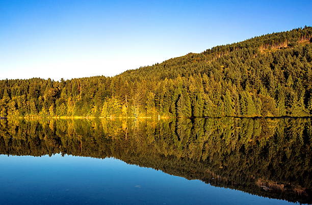 istock Autumn on Hayward Lake 595733434