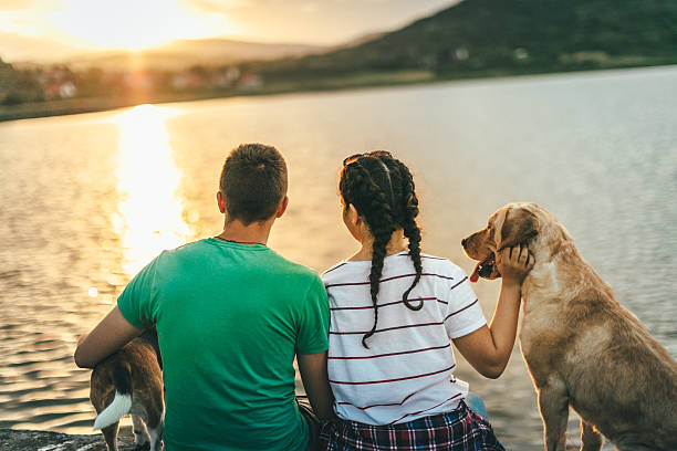 istock Couple with dog enjoying summer sunset 595735018