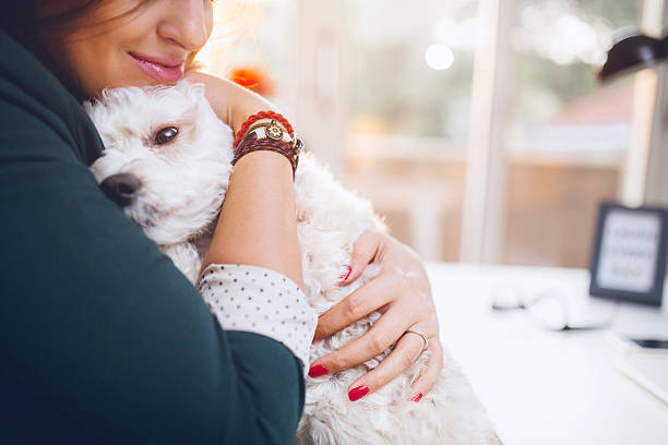 istock Love my dog soo much! 595737304