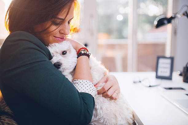 istock Love my dog soo much! 595737420