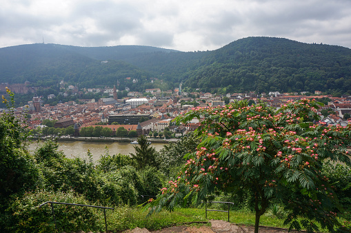 the view of the old town from the philsophers walk in heidelberg, germany.