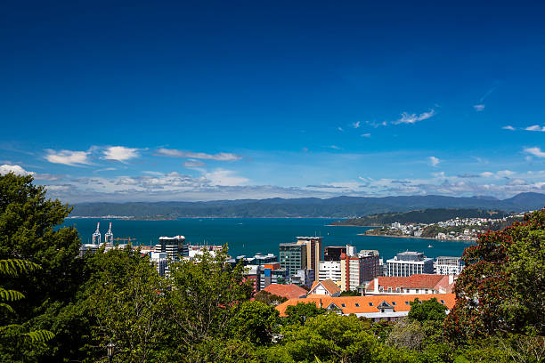 istock Wellington City 595738812