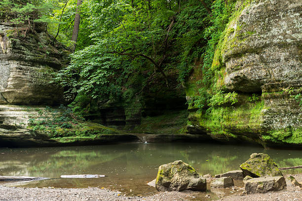 istock Early Summer morning in the canyon. 595738902
