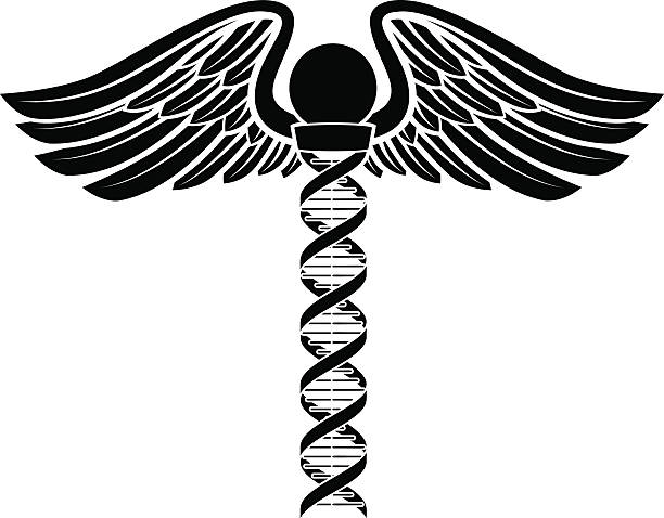 ilustrações de stock, clip art, desenhos animados e ícones de caduceus dna concept - dna helix helix model symmetry