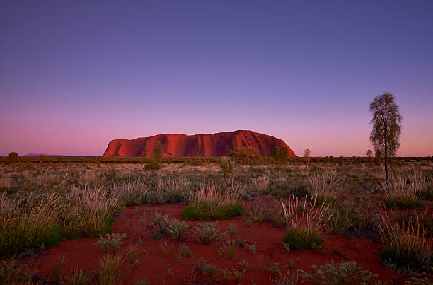 이 접근 dawn, 울룰루 - uluru australia northern territory sunrise 뉴스 사진 이미지