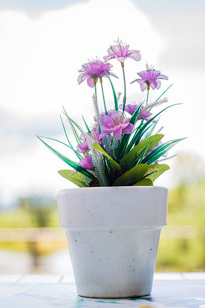 istock flower in a flower pot on an white table 595746464