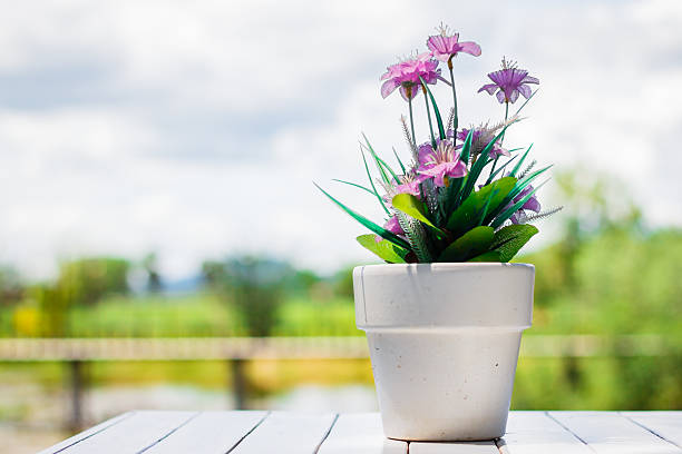 flower in a flower pot on an white table stock photo