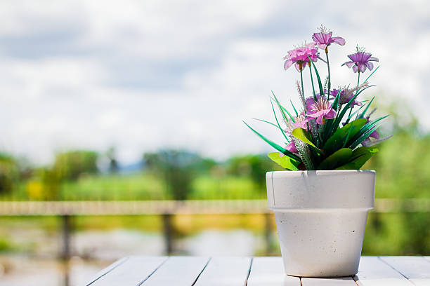 flower in a flower pot on an white table stock photo