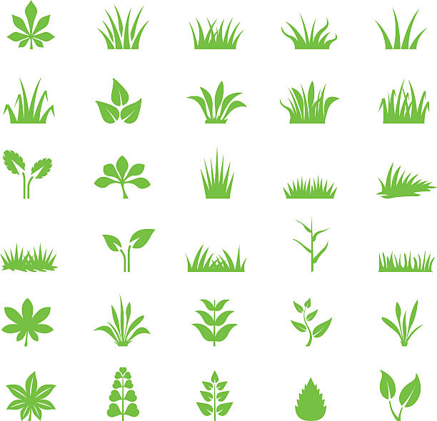 ilustrações, clipart, desenhos animados e ícones de conjunto de ícones de grama - arrancar ervas daninhas