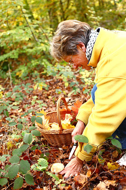 istock woman who collects mushrooms 595749686