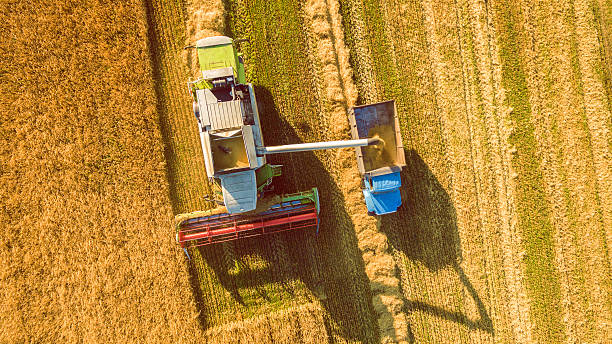istock Harvester working in field and mows wheat. Ukraine. Aerial view. 595752856