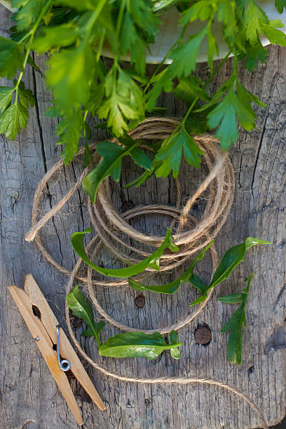 vestiti peg e corda in giardino - foto stock