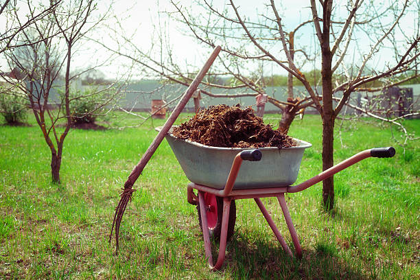 wheelbarrow full of manure, toned - scented non urban scene spring dirt imagens e fotografias de stock